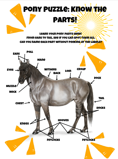 Future Pony Owner Annual Journal (undated)