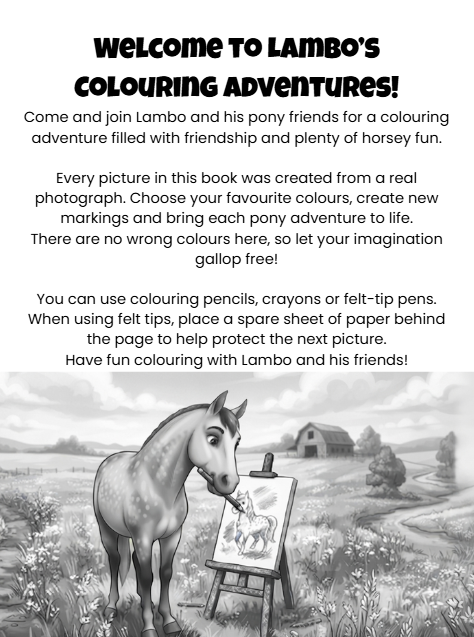 Pony Dreams Colouring Book: Bring Lambo and His Pony Friends to Life