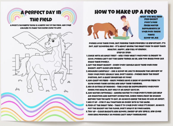 Pony Owner Annual Journal (undated so start any time of the year)
