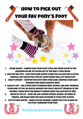 Future Pony Owner Annual Journal (undated so start any time of year)