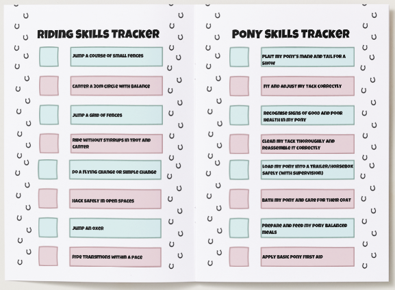 Pony Owner Annual Journal (undated so start any time of the year)