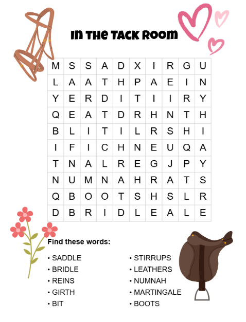 Pony Dreams Wordsearch Adventure, A Fun-Filled Puzzle Book for Young Pony Lovers