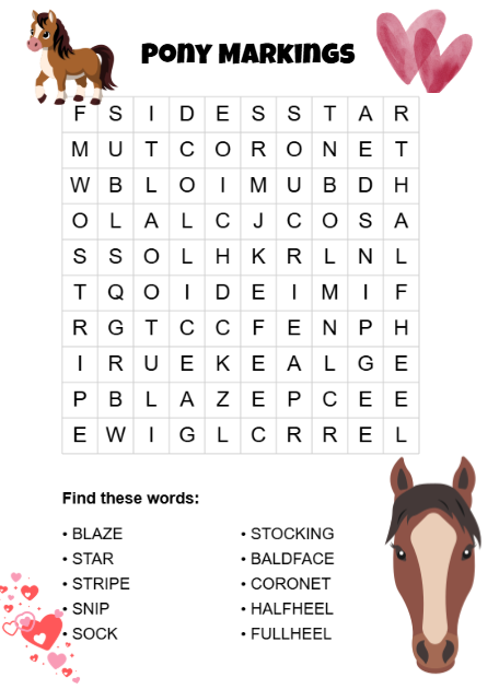 Pony Dreams Wordsearch Adventure, A Fun-Filled Puzzle Book for Young Pony Lovers