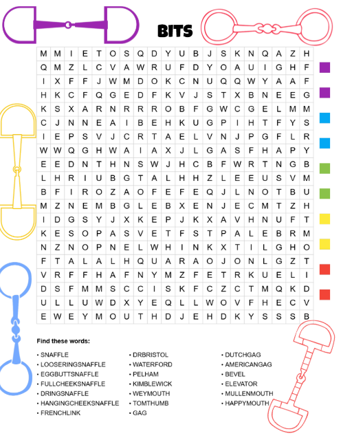 Pony Dreams Wordsearch Adventure, A Fun-Filled Puzzle Book for Young Pony Lovers