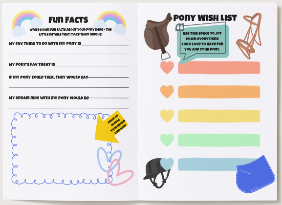 Pony Owner Annual Journal (undated so start any time of the year)