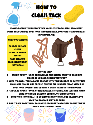 Pony Owner Annual Journal (undated so start any time of the year)