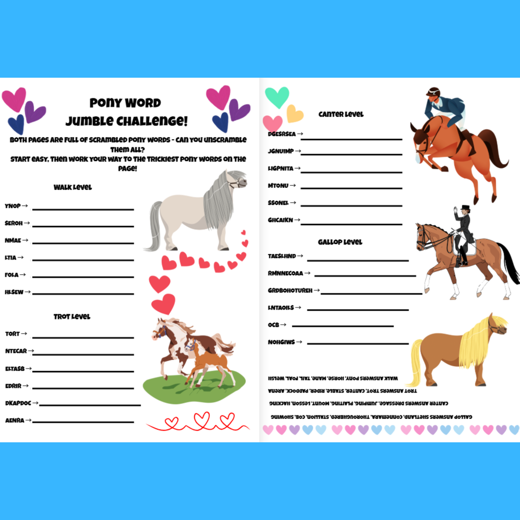 Pony Dreams Fun Quiz & Activity Book
