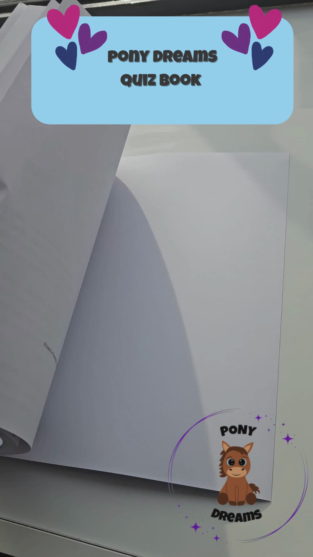 Pony Dreams Fun Quiz & Activity Book