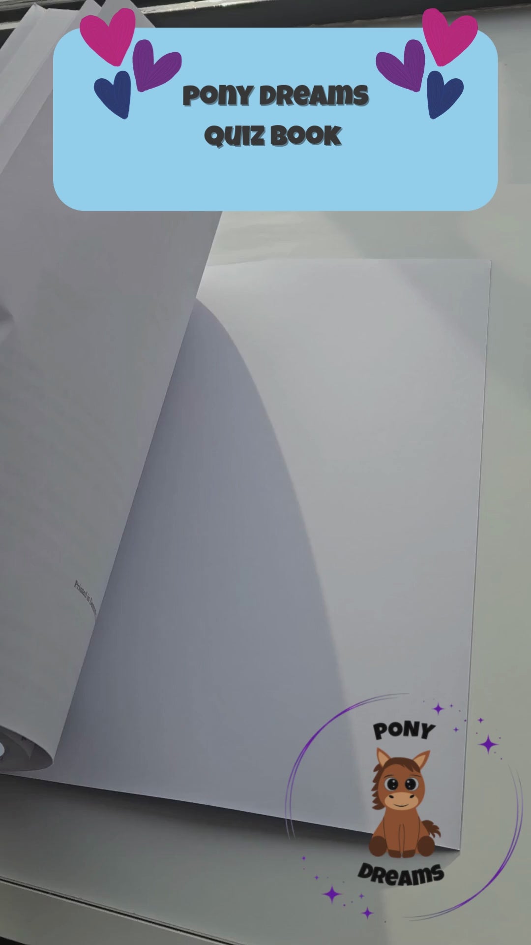 Pony Dreams Fun Quiz & Activity Book